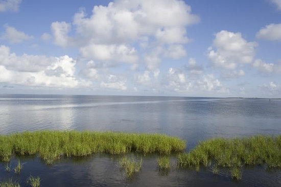 Laguna Madre